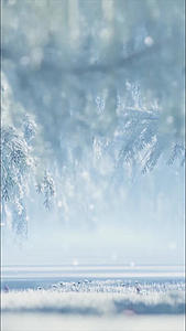 唯美冬天雪景背景视频的预览图
