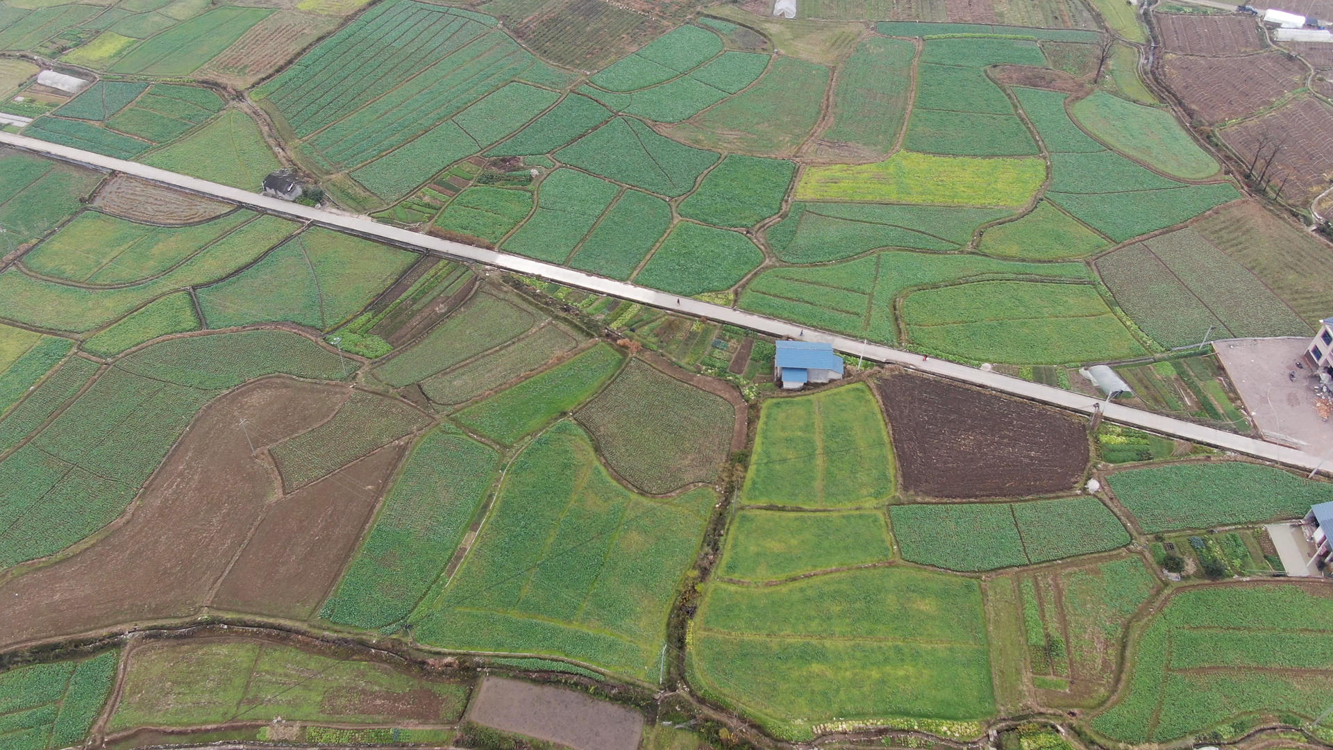 4K航拍种植农田视频的预览图