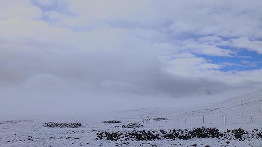 在降雪的针叶山林中鸟瞰白雪覆盖的冬林冬季背景mp44K视频素材