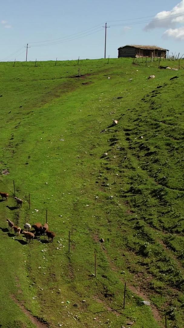新疆伊犁草原牧民放牧转场视频视频的预览图
