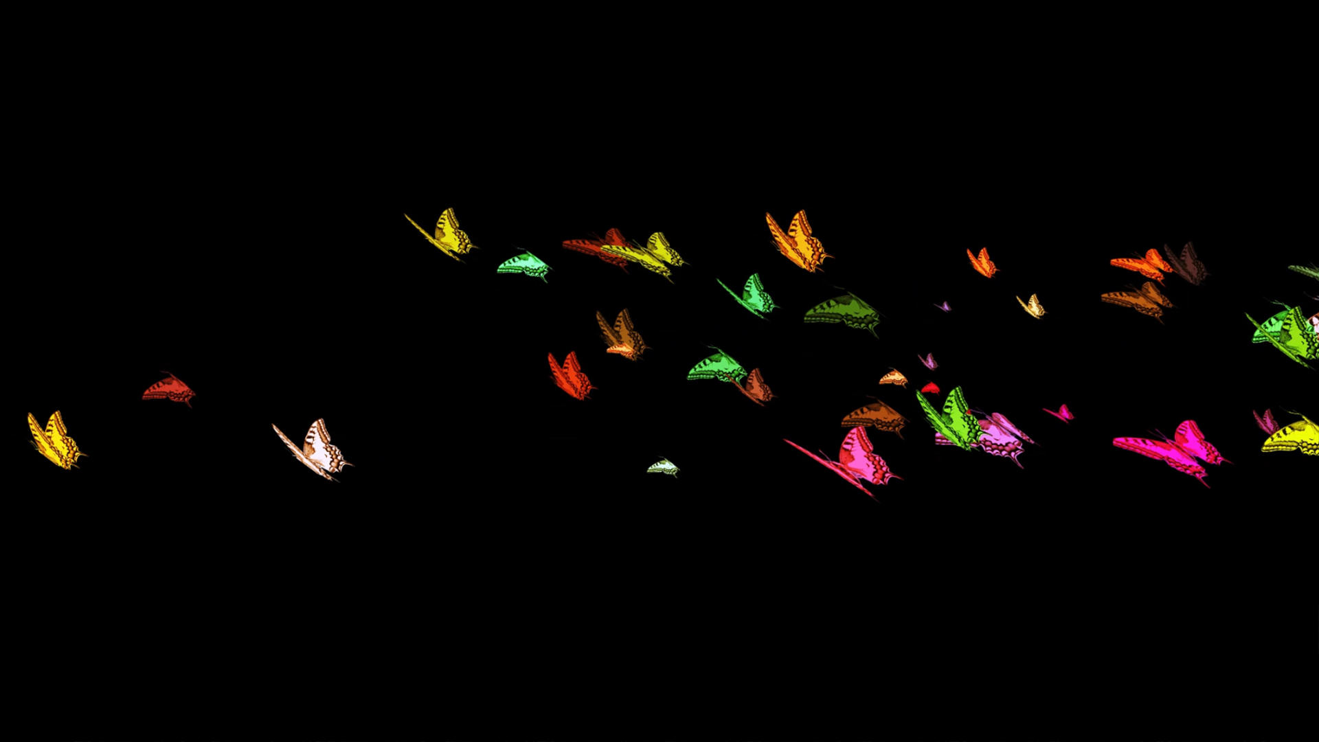 蝴蝶飞舞带透明度通道视频的预览图
