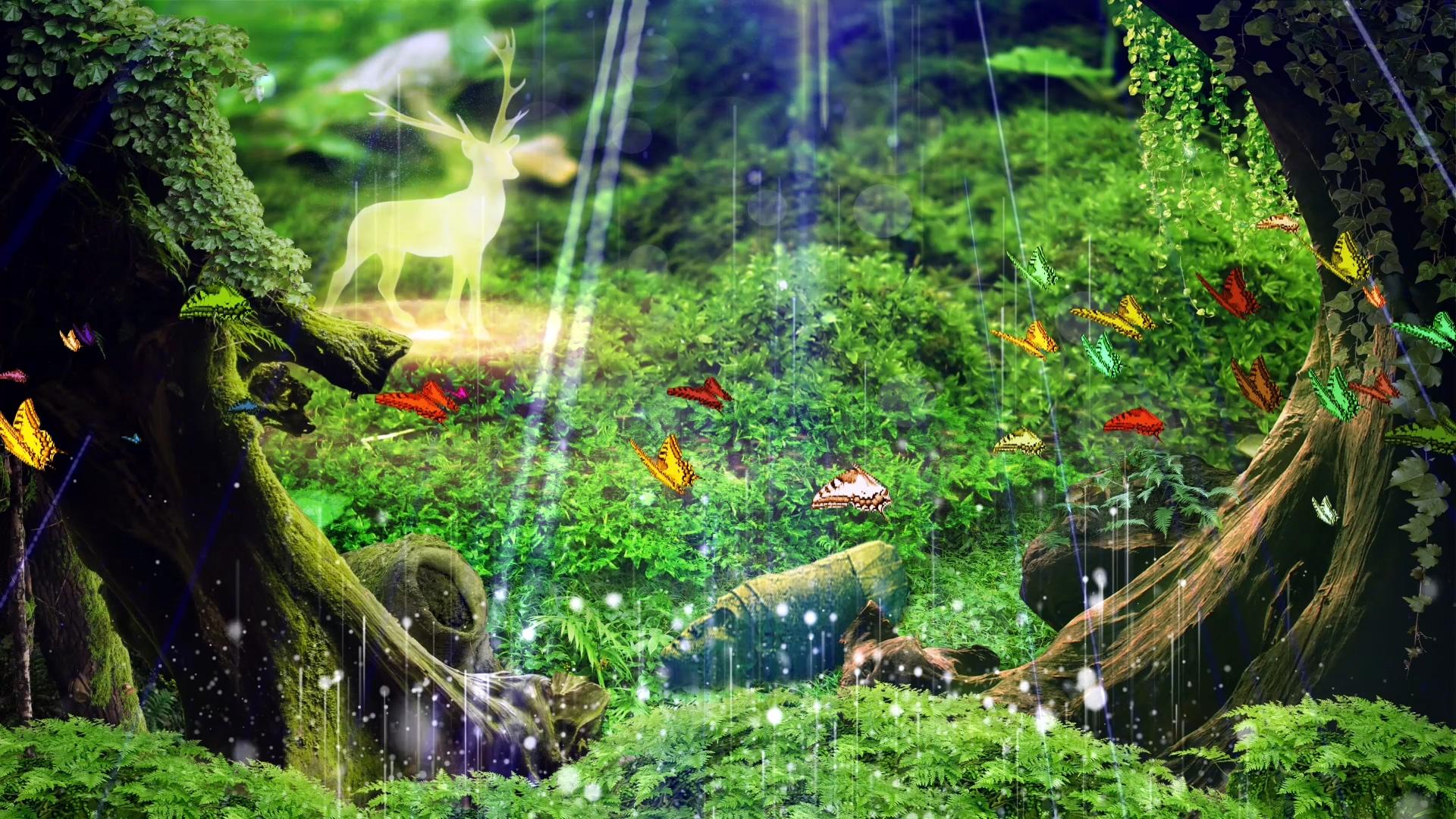 奇幻森林背景视频视频的预览图