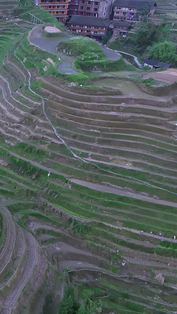 桂林龙脊梯田鸟瞰航拍视频的预览图