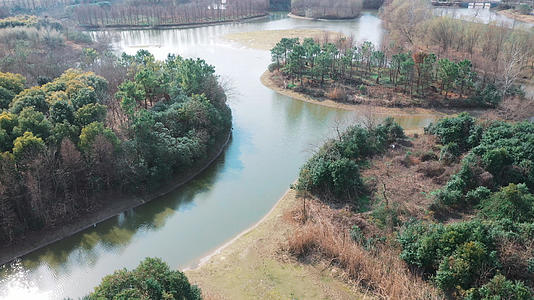 上海松江泖港湿地公园视频的预览图