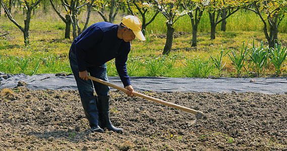 4K拍摄农民在烈日下锄田耕作视频的预览图