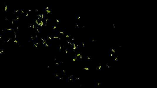简单的绿叶飘落落叶带通道元素视频的预览图