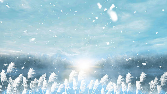 4k冬日雪景雪花飘落唯美背景视频的预览图