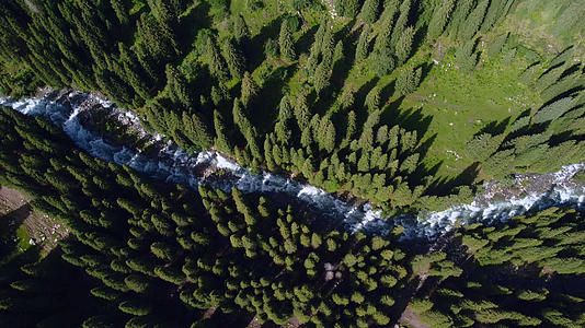 航拍森林溪水夏日自然风景视频的预览图