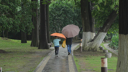 慢镜头升格拍摄4k素材下雨天林荫道上打伞行走的母子亲子陪伴视频的预览图