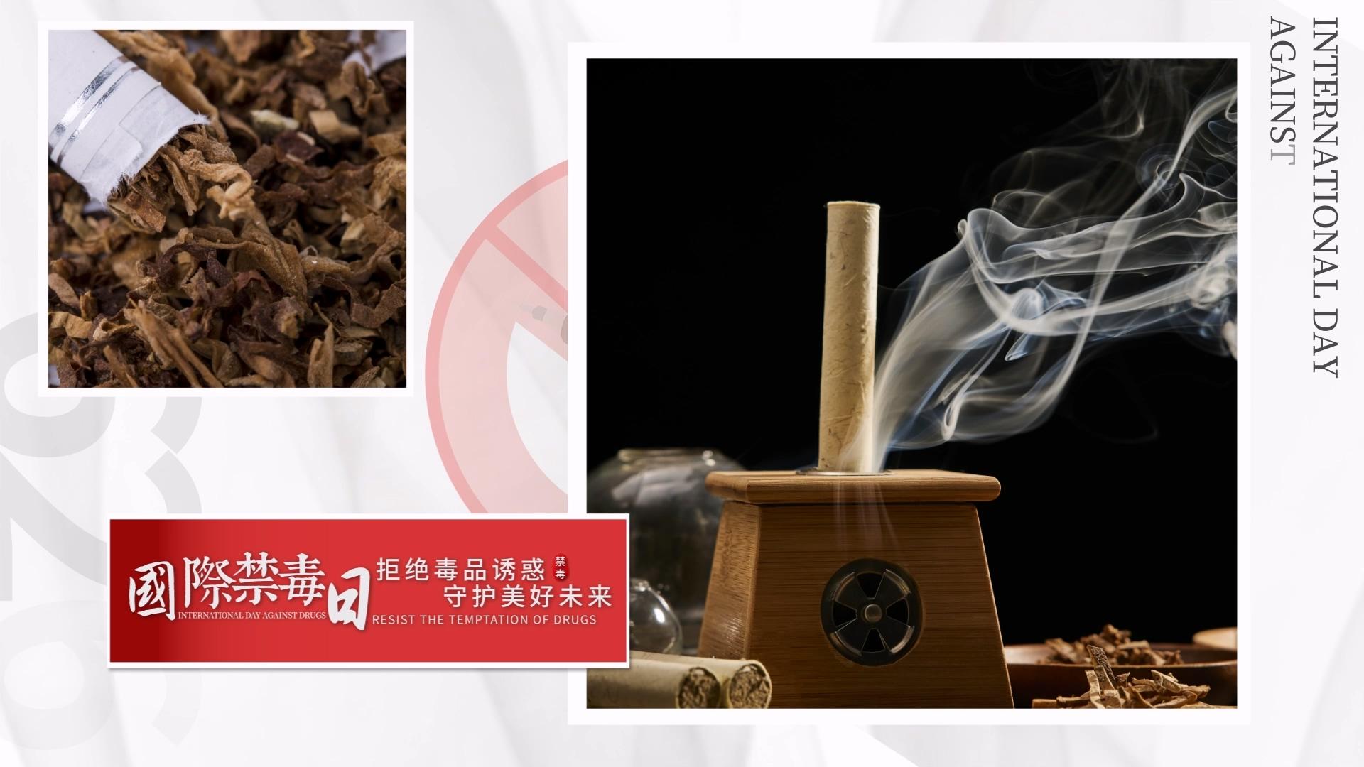 简洁大气国际禁毒日图展示AE模板视频的预览图