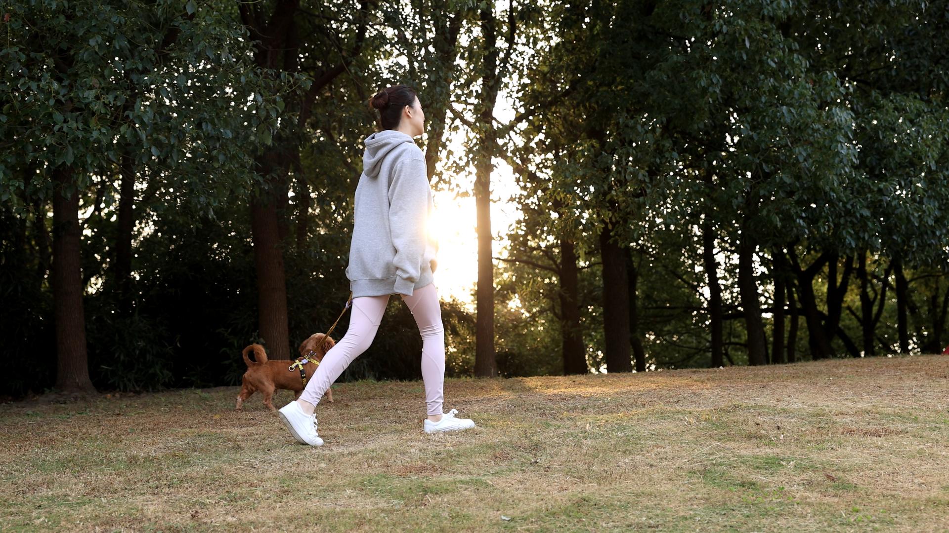 运动女孩在公园和泰迪一起散步视频的预览图
