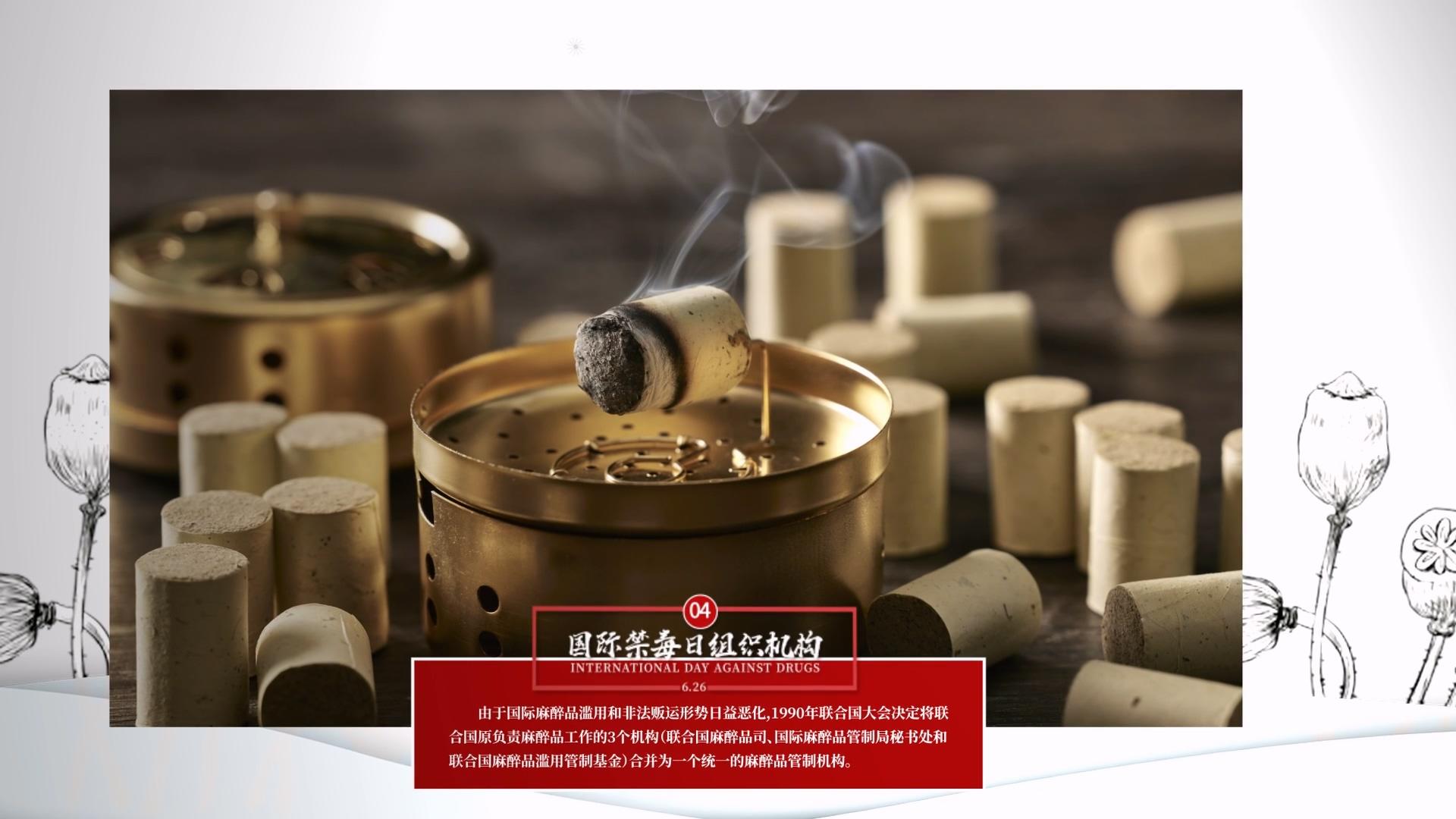 简洁大气国际禁毒日图介绍AE模板视频的预览图