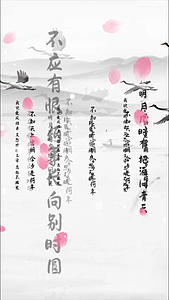 中国文化诗词文字视频的预览图