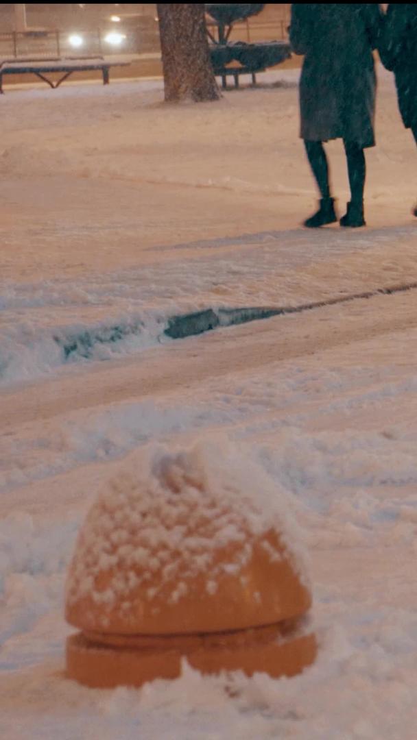 冬天大雪天气街头过马路的行人视频的预览图