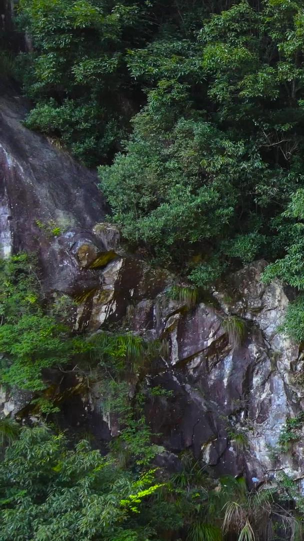 青田千丝岩4A风景区航拍集合集合视频的预览图