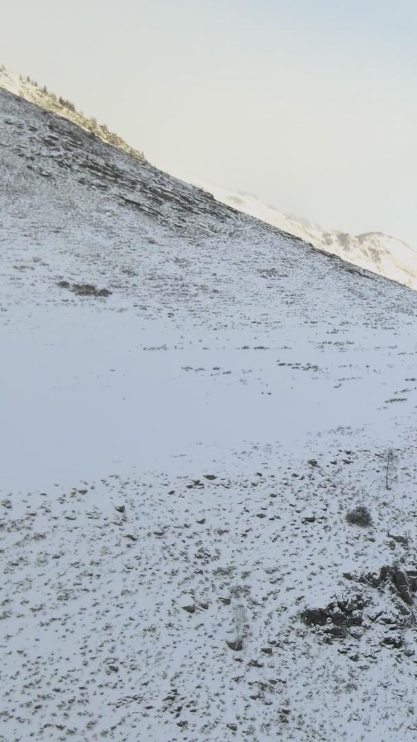 冬季雪景新疆雪山谷雪景视频的预览图