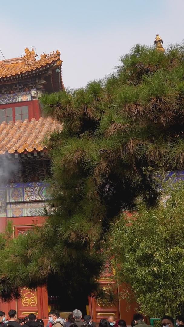 雍和宫庙春节祈福视频的预览图