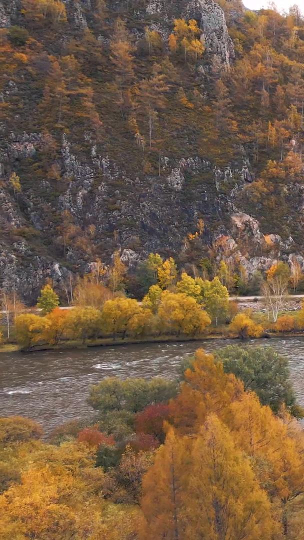 阿尔山秋天的自然景观视频的预览图