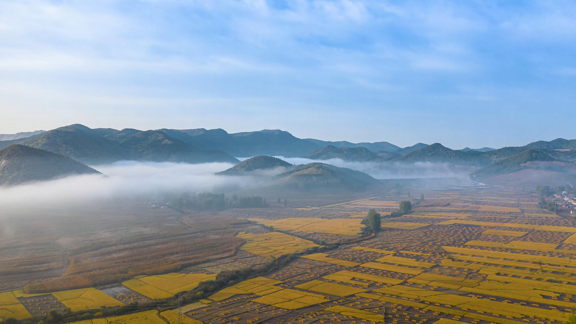 8K延时航拍秋天山脉下的金黄色稻田视频的预览图