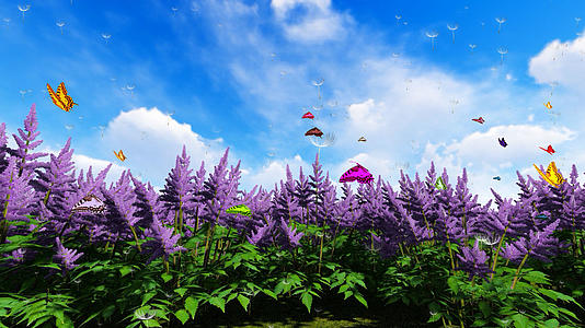 花丛蓝天背景视频视频的预览图
