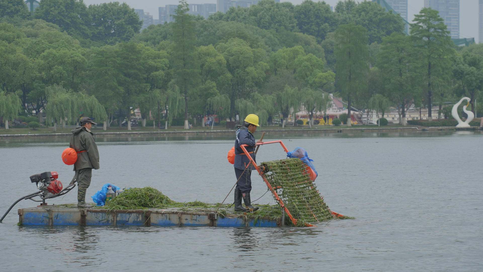 城市湖上劳动工作清理水草净化水质的环保工人4k素材视频的预览图