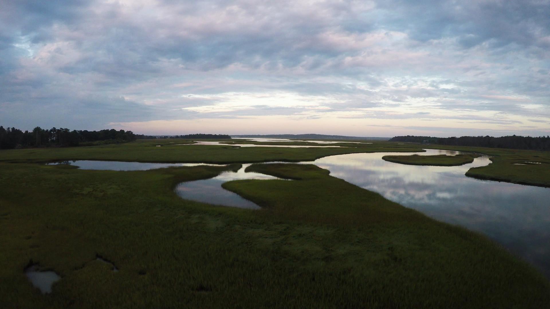 湿地高清航拍4K视频的预览图