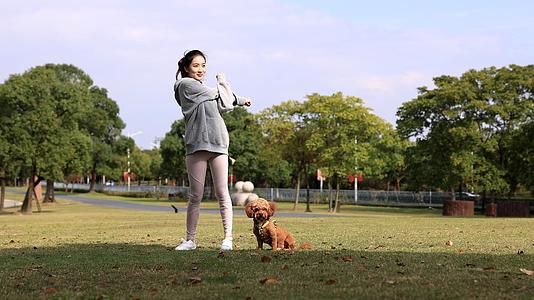 遛狗的女青年在做拉伸运动视频的预览图