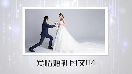 大气爱情婚礼PR模板视频的预览图