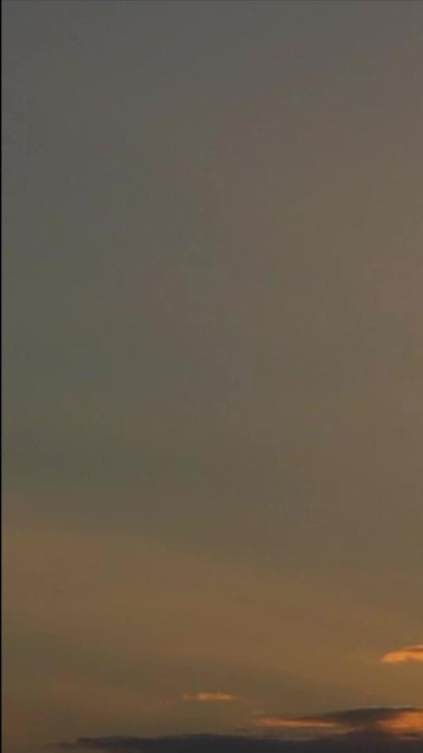 海边夕阳海鸥在海边飞翔视频的预览图