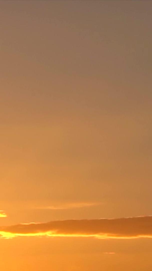 海边夕阳海鸥在海边飞翔视频的预览图
