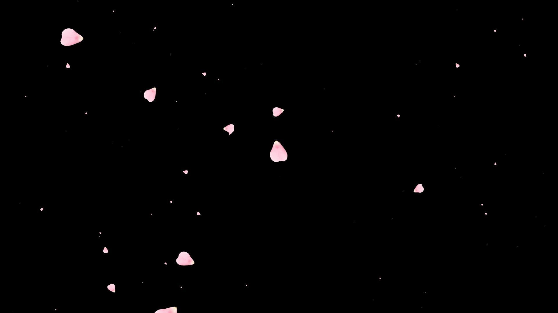 粒子花瓣冲击屏幕视频的预览图