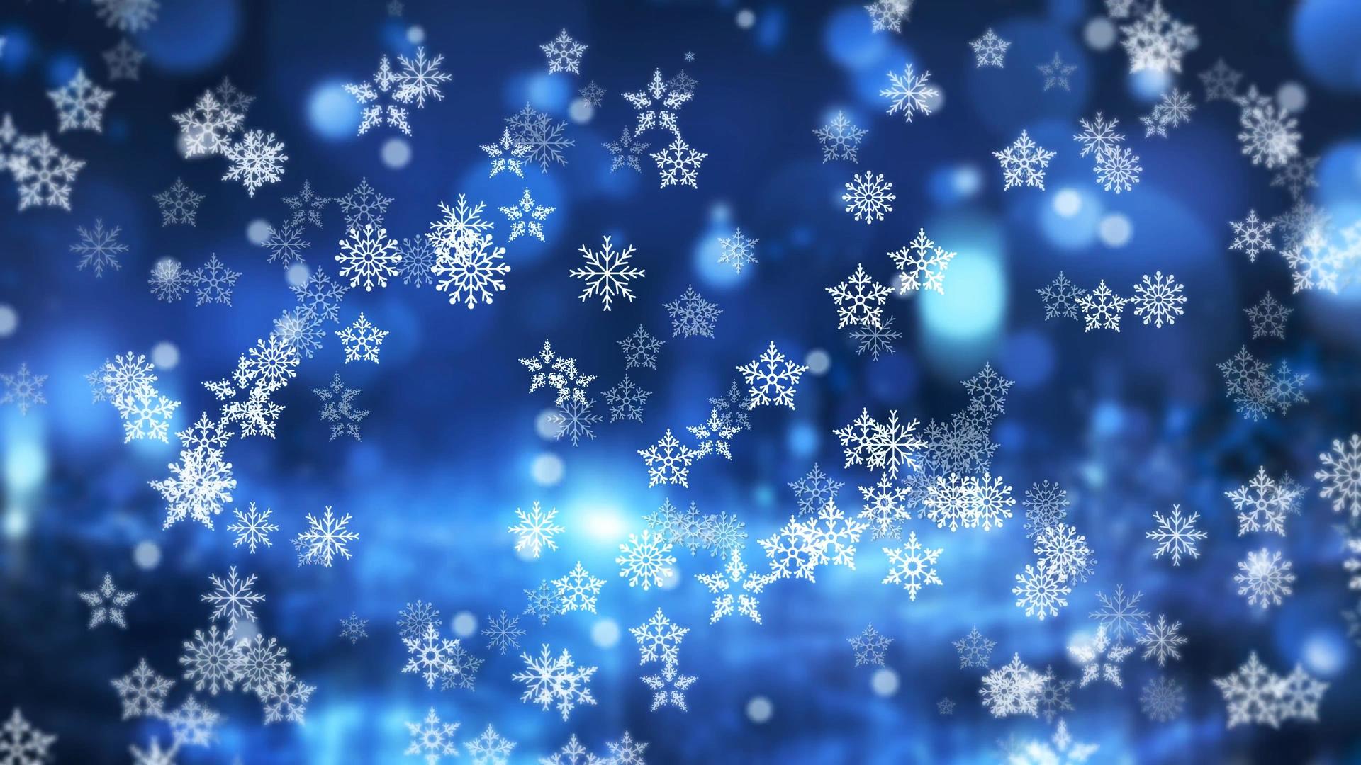 圣诞节蓝色雪花粒子视频素材视频的预览图