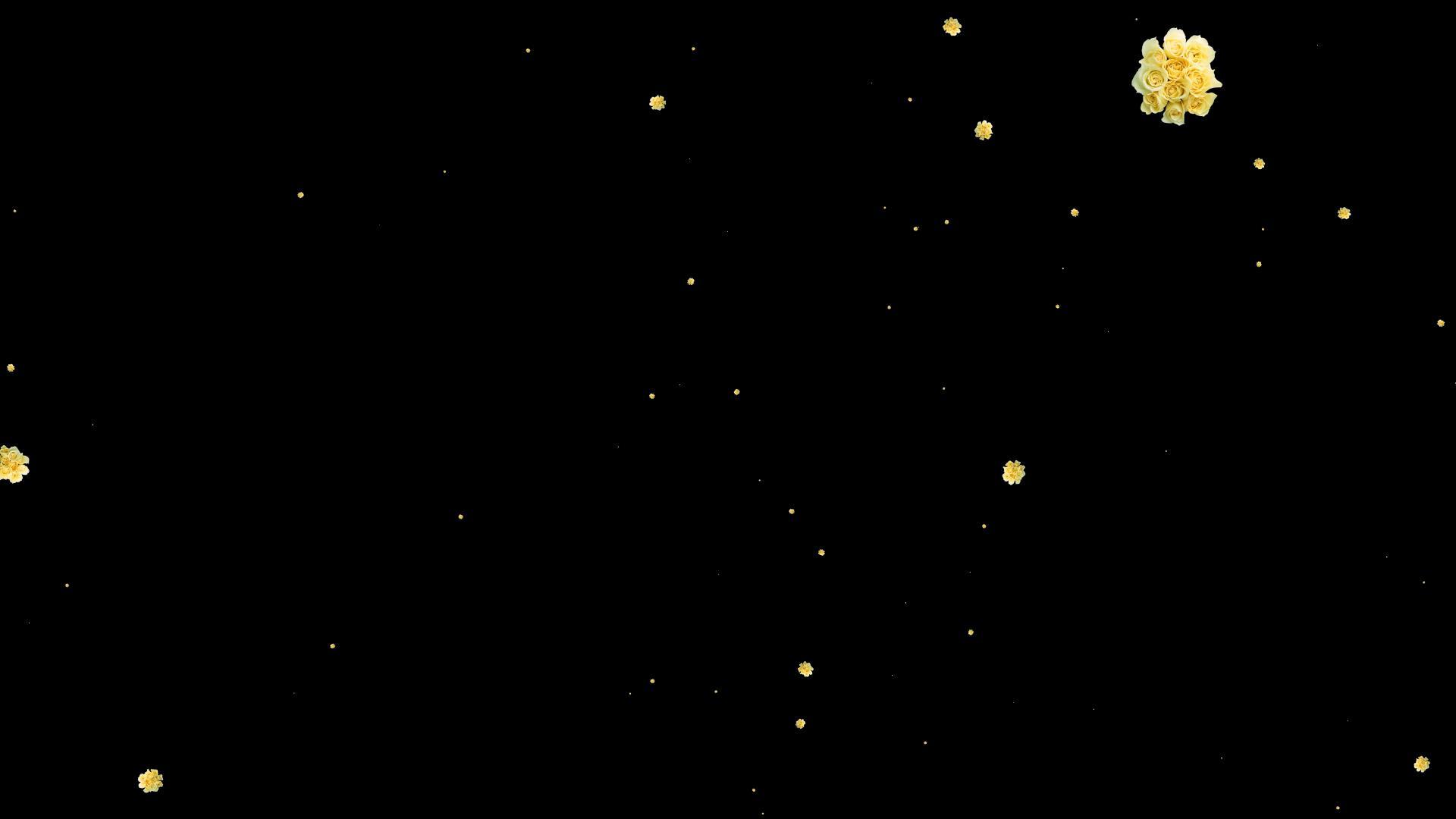 粒子花瓣冲击屏幕视频的预览图