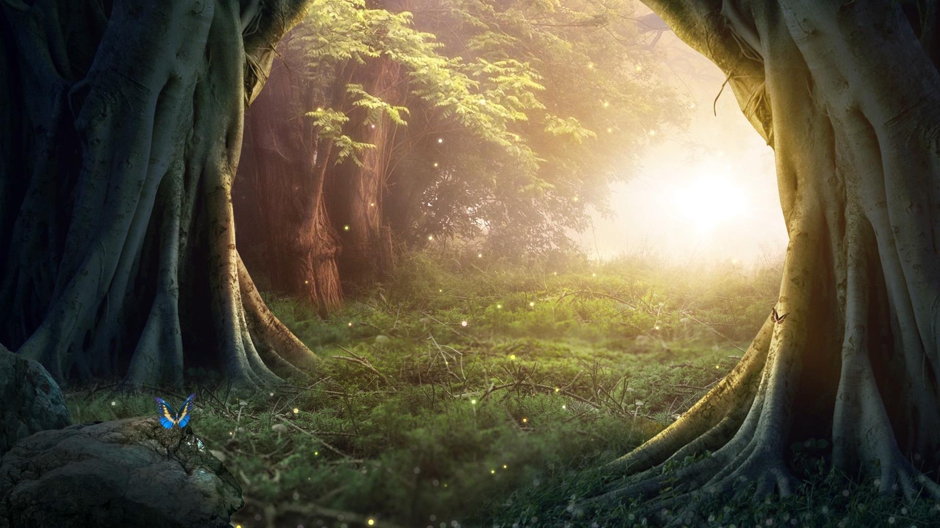 动态阳光照射森林梦幻背景视频素材视频的预览图