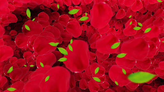 4K唯美的玫瑰花瓣背景素材视频的预览图