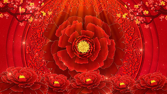 4K红色中国风牡丹花喜庆背景视频的预览图