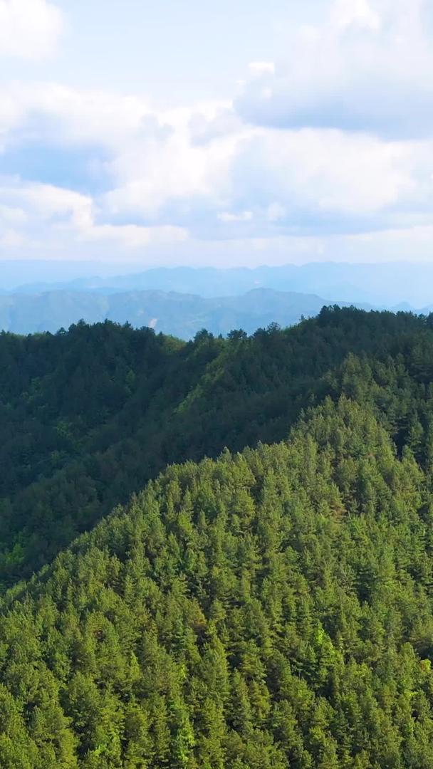 金山银山绿色生态大自然航拍蓝天白云下的大自然视频的预览图