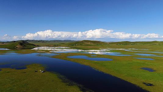 航拍自然生态湿地景观视频视频的预览图