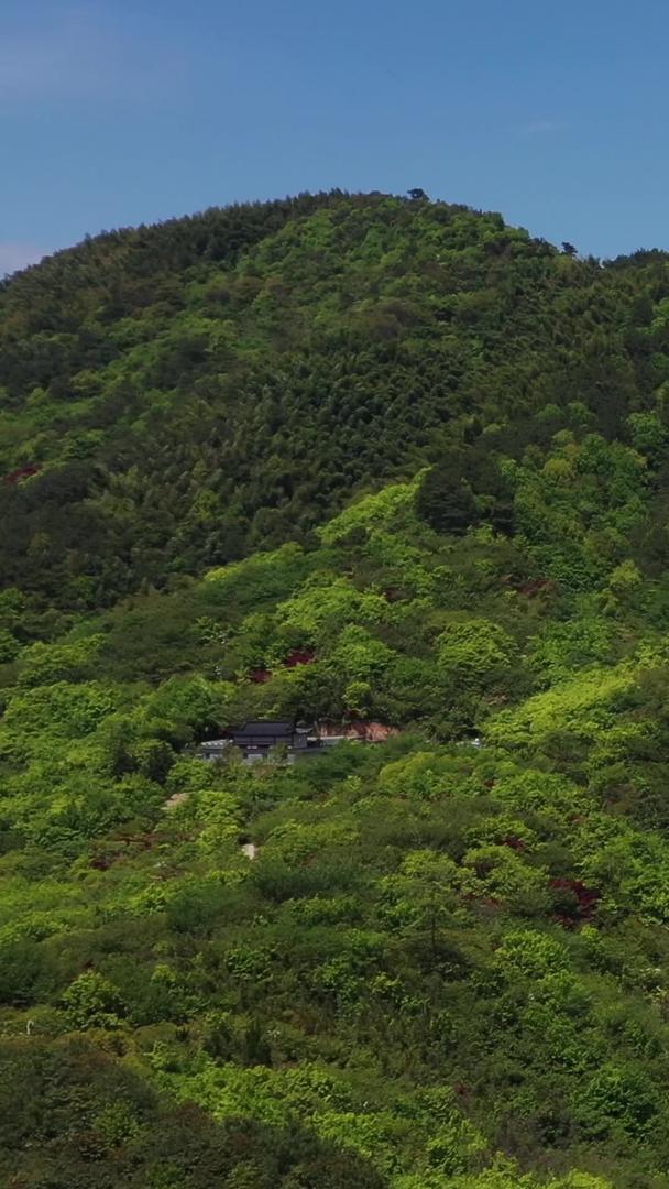 宁波雪窦山景区航拍5A景区弥勒大佛视频视频的预览图