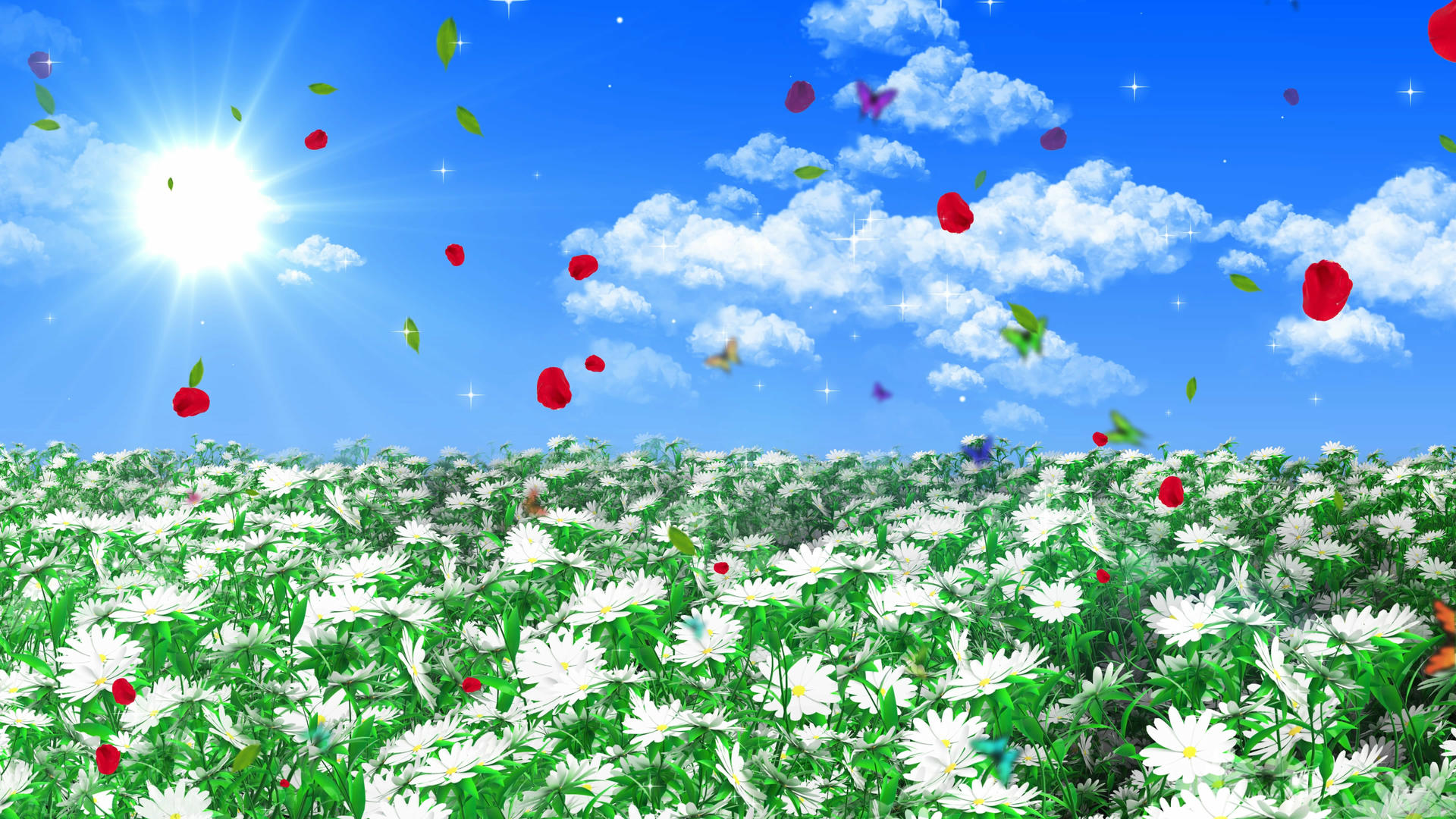 4K清新野花背景素材视频的预览图