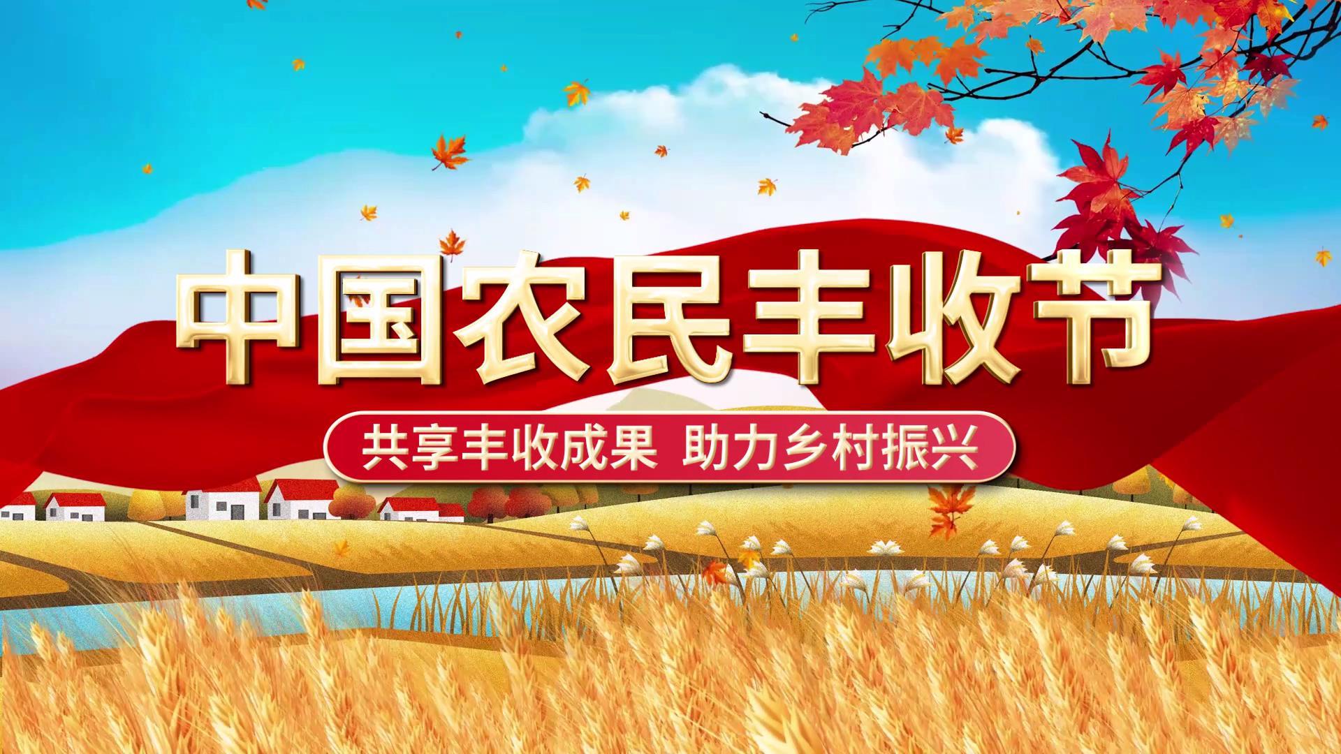 中国农民丰收节日片头ae模板视频的预览图