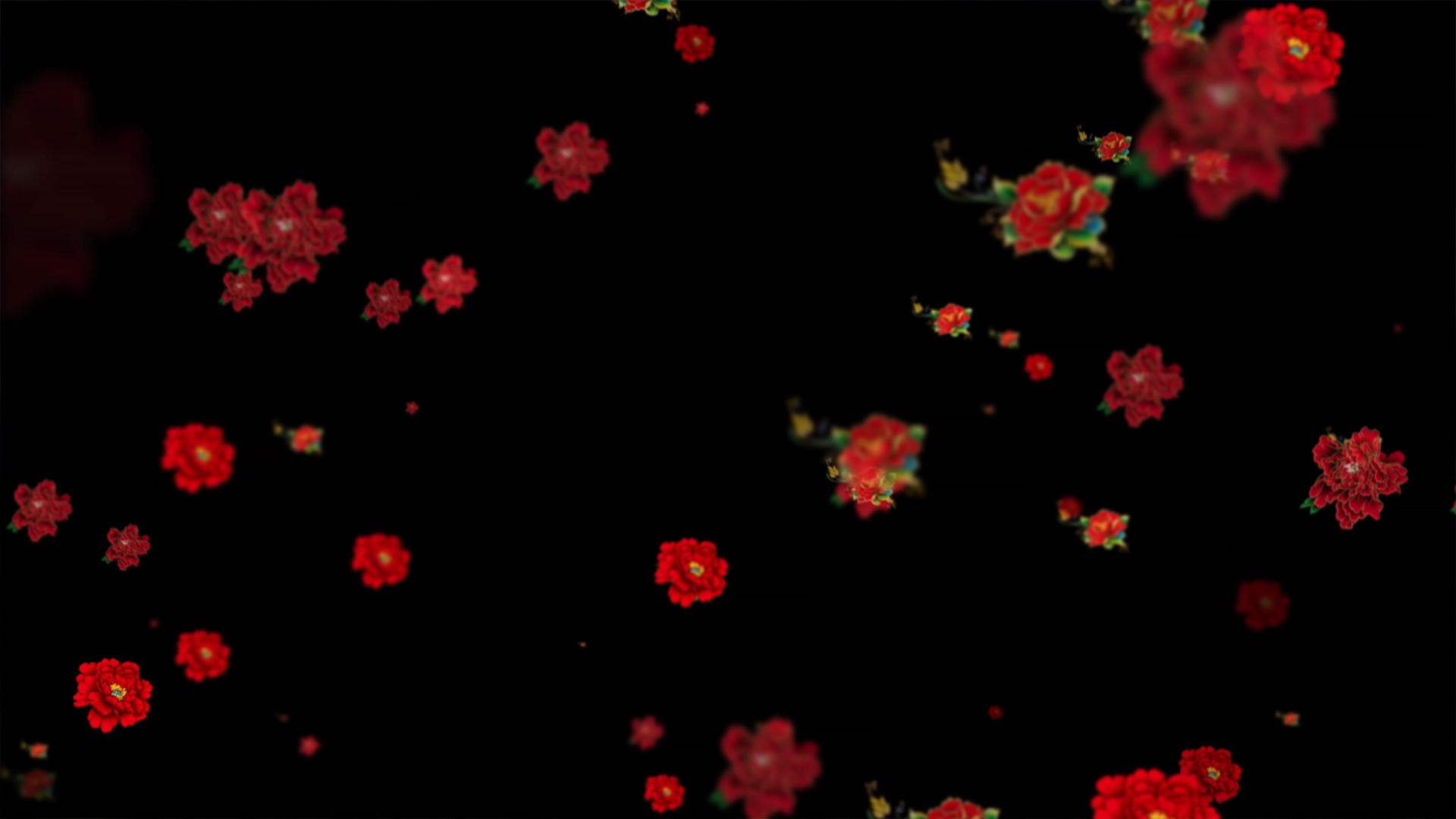 牡丹花飘落动画元素带透明度视频的预览图