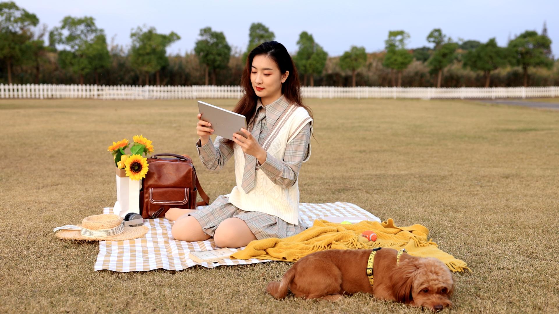 草坪上玩平板的美女和睡觉的狗狗视频的预览图