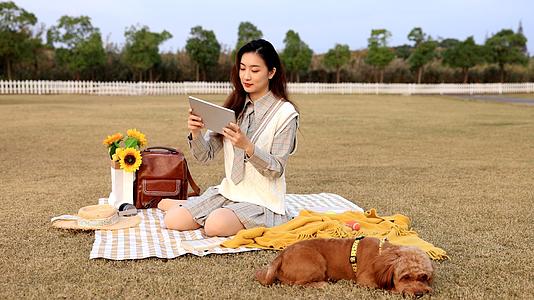 草坪上玩平板的美女和睡觉的狗狗视频的预览图