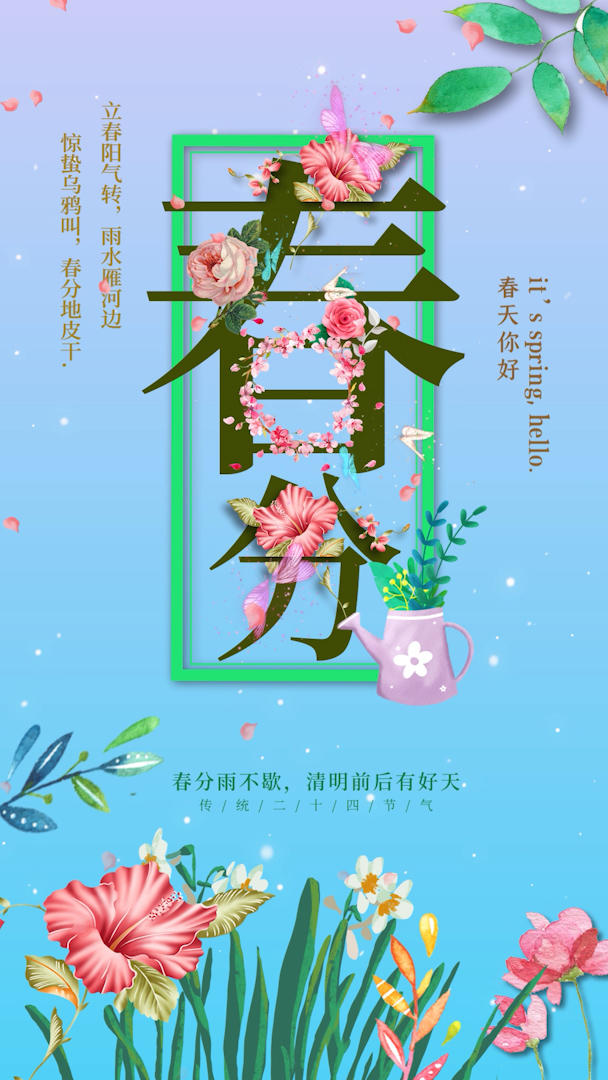 竖版小清新传统节日春分节气AE模板视频的预览图