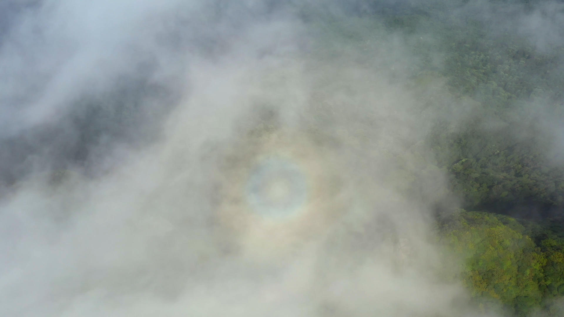 云海中的佛光4k航拍视频视频的预览图