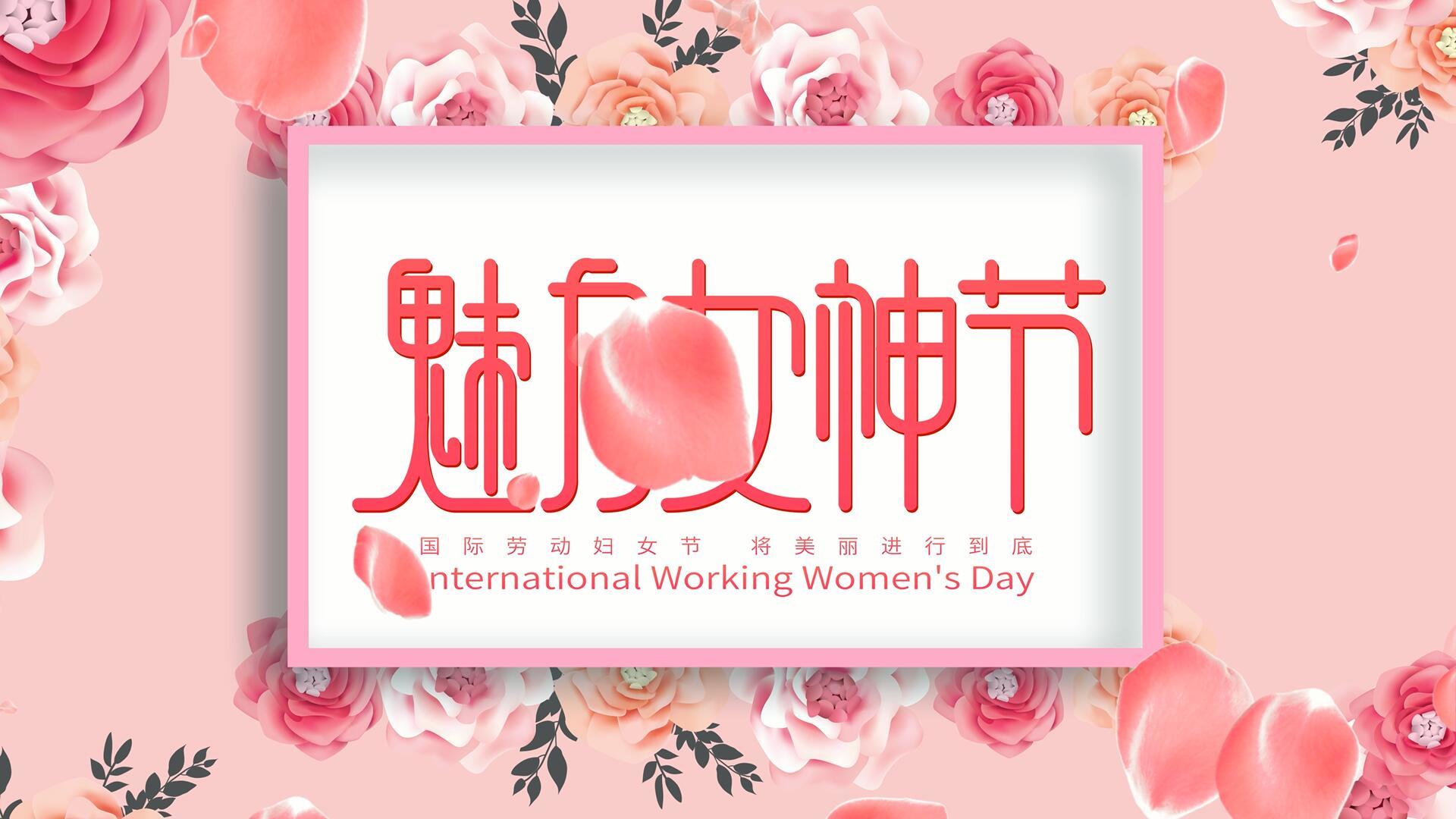 4K38女神节粉色玫瑰背景视频的预览图