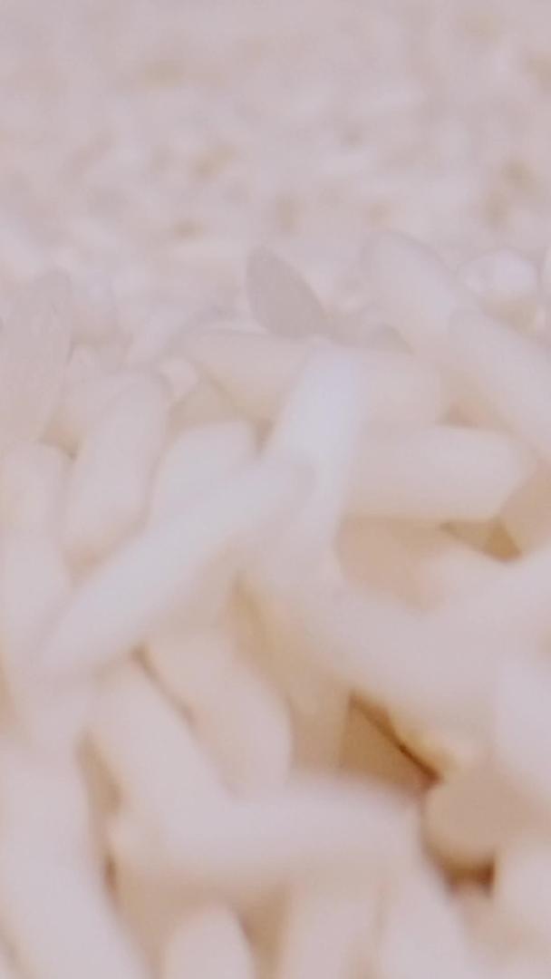 粽子糯米视频的预览图