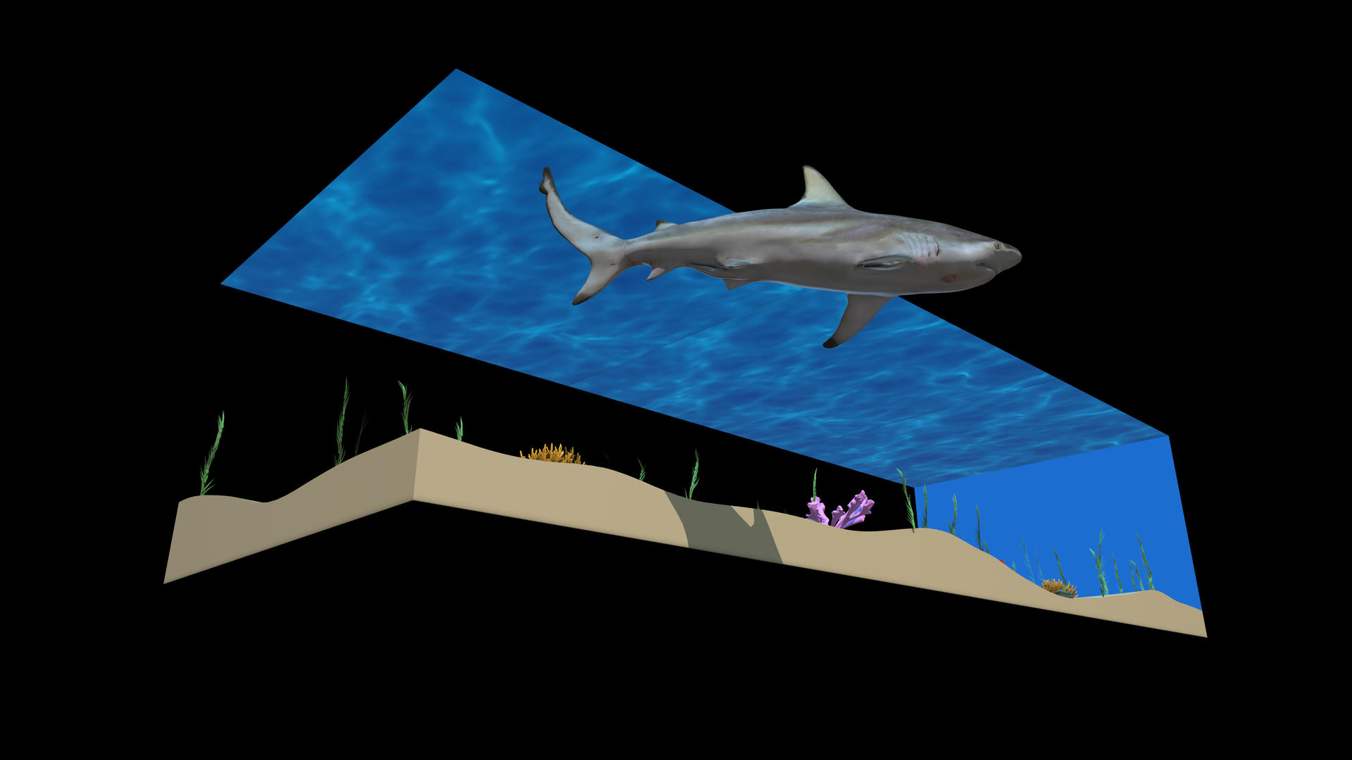 4K海底大鲨鱼裸眼3D效果视频的预览图