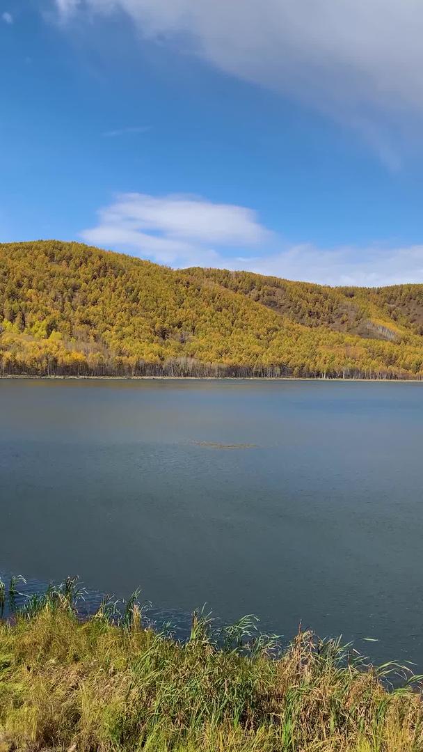 乌苏浪子湖内蒙古阿尔山旅游景区实拍竖版视频视频的预览图
